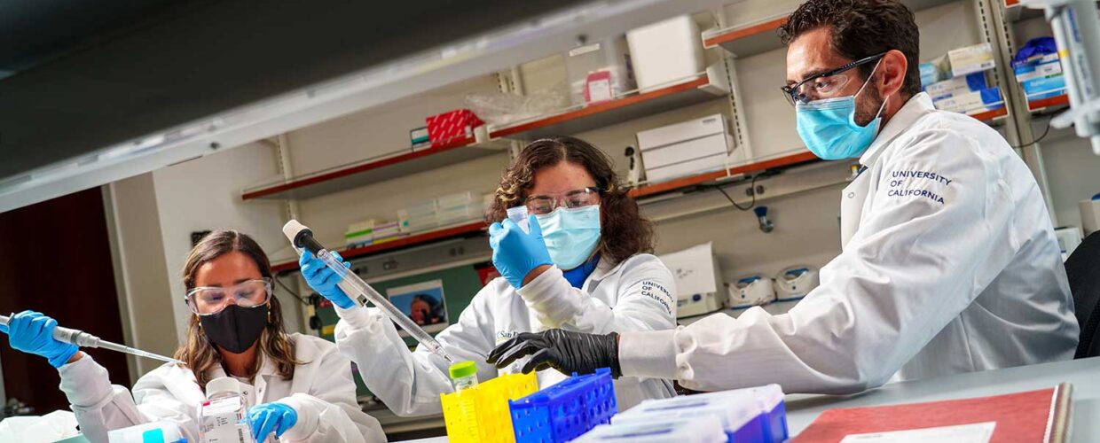 Nuovo accesso al corso di Medicina